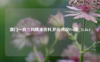 澳门一肖三码精准资料,炉石传说Pro版_25.36.4