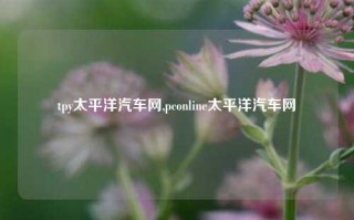 tpy太平洋汽车网,pconline太平洋汽车网