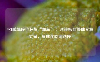 *ST鹏博股价狂飙“翻车” ：八连板后停牌又被立案，复牌连吃两跌停