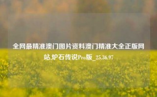 全网最精准澳门图片资料澳门精准大全正版网站,炉石传说Pro版_25.36.97