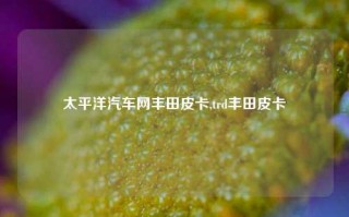 太平洋汽车网丰田皮卡,trd丰田皮卡