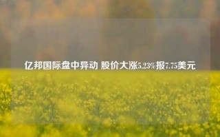 亿邦国际盘中异动 股价大涨5.23%报7.75美元