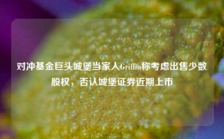 对冲基金巨头城堡当家人Griffin称考虑出售少数股权，否认城堡证券近期上市