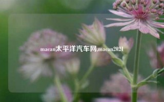 macan太平洋汽车网,macan2021