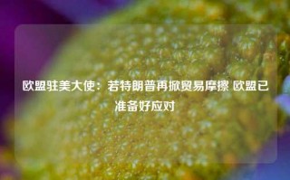 欧盟驻美大使：若特朗普再掀贸易摩擦 欧盟已准备好应对