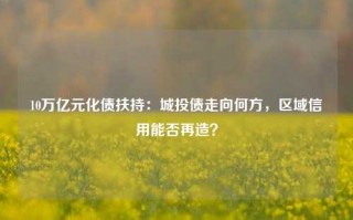 10万亿元化债扶持：城投债走向何方，区域信用能否再造？