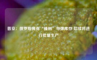 普京：俄罗斯拥有“榛树”导弹库存 后续将进行批量生产