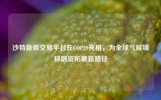 沙特新碳交易平台在COP29亮相，为全球气候项目融资拓展新路径