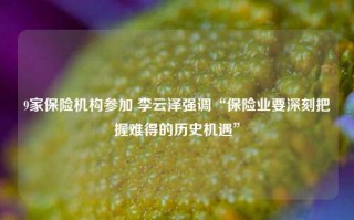 9家保险机构参加 李云泽强调“保险业要深刻把握难得的历史机遇”