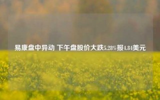 易康盘中异动 下午盘股价大跌5.28%报4.84美元