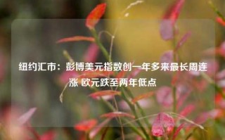 纽约汇市：彭博美元指数创一年多来最长周连涨 欧元跌至两年低点