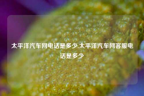 太平洋汽车网电话是多少,太平洋汽车网客服电话是多少-第1张图片-徐州汽车网