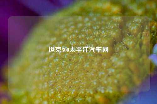 坦克300太平洋汽车网-第1张图片-徐州汽车网