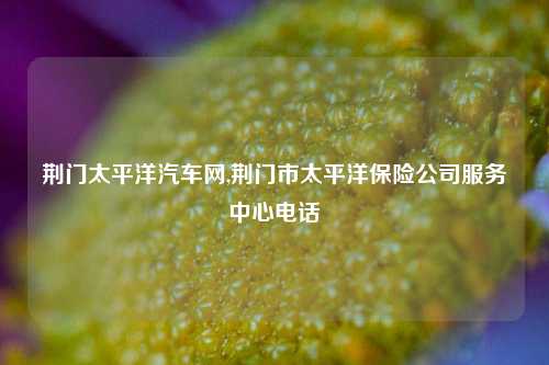 荆门太平洋汽车网,荆门市太平洋保险公司服务中心电话-第1张图片-徐州汽车网