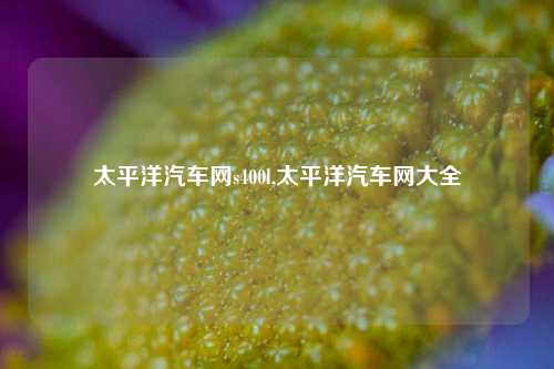 太平洋汽车网s400l,太平洋汽车网大全-第1张图片-徐州汽车网