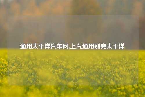 通用太平洋汽车网,上汽通用别克太平洋-第1张图片-徐州汽车网