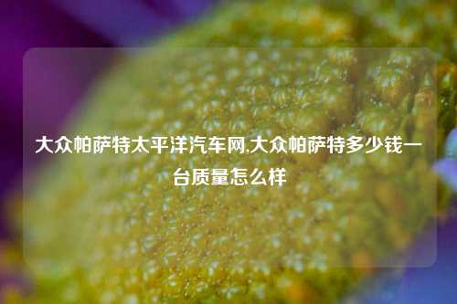 大众帕萨特太平洋汽车网,大众帕萨特多少钱一台质量怎么样-第1张图片-徐州汽车网