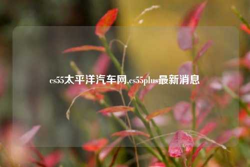 cs55太平洋汽车网,cs55plus最新消息-第1张图片-徐州汽车网