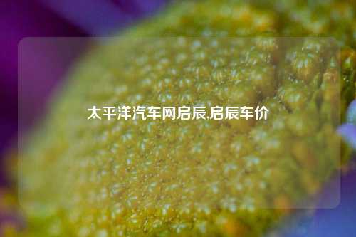 太平洋汽车网启辰,启辰车价-第1张图片-徐州汽车网