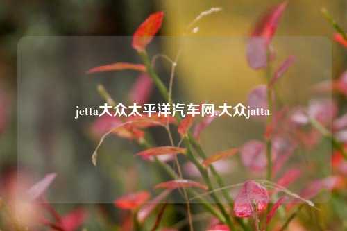 jetta大众太平洋汽车网,大众jatta-第1张图片-徐州汽车网