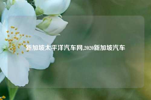 新加坡太平洋汽车网,2020新加坡汽车-第1张图片-徐州汽车网