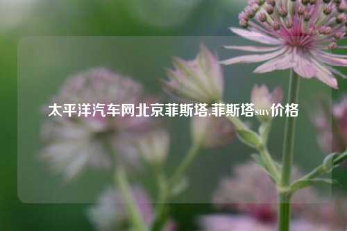 太平洋汽车网北京菲斯塔,菲斯塔suv价格-第1张图片-徐州汽车网