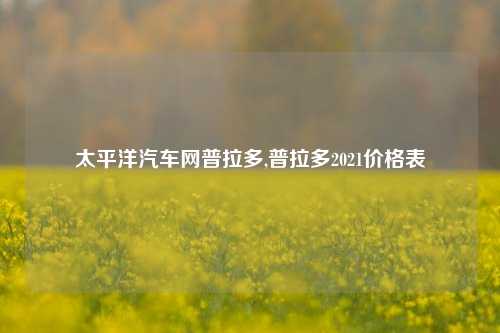 太平洋汽车网普拉多,普拉多2021价格表-第1张图片-徐州汽车网