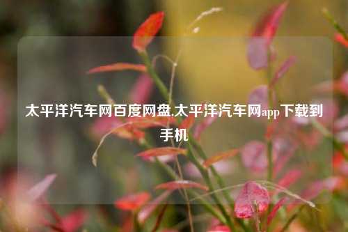 太平洋汽车网百度网盘,太平洋汽车网app下载到手机-第1张图片-徐州汽车网