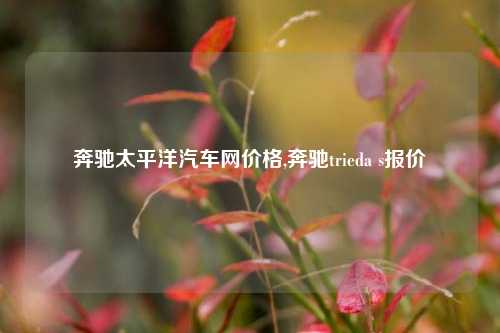 奔驰太平洋汽车网价格,奔驰trieda s报价-第1张图片-徐州汽车网