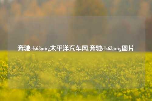 奔驰cls63amg太平洋汽车网,奔驰cls63amg图片-第1张图片-徐州汽车网