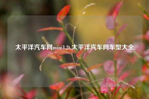 太平洋汽车网mini1.2t,太平洋汽车网车型大全-第1张图片-徐州汽车网