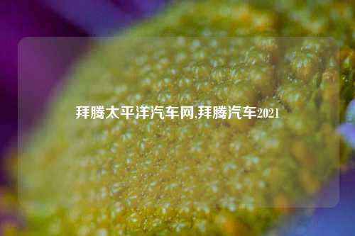 拜腾太平洋汽车网,拜腾汽车2021-第1张图片-徐州汽车网