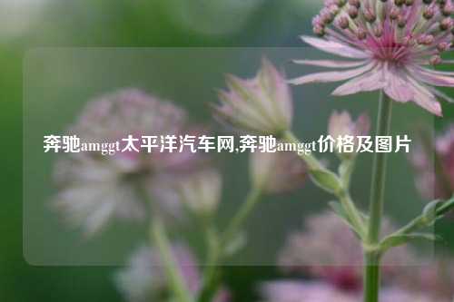 奔驰amggt太平洋汽车网,奔驰amggt价格及图片-第1张图片-徐州汽车网