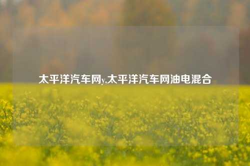 太平洋汽车网y,太平洋汽车网油电混合-第1张图片-徐州汽车网