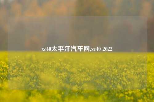 xc40太平洋汽车网,xc40 2022-第1张图片-徐州汽车网