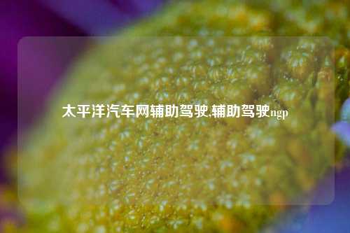 太平洋汽车网辅助驾驶,辅助驾驶ngp-第1张图片-徐州汽车网