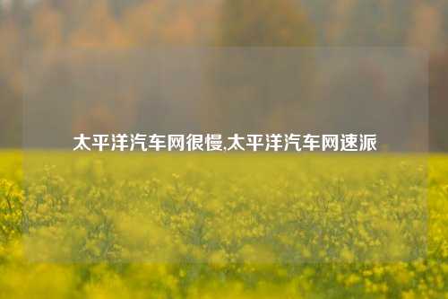 太平洋汽车网很慢,太平洋汽车网速派-第1张图片-徐州汽车网