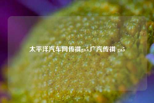 太平洋汽车网传祺ga5,广汽传祺 ga5-第1张图片-徐州汽车网