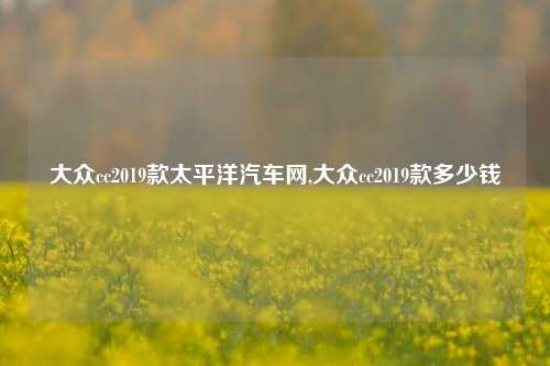 大众cc2019款太平洋汽车网,大众cc2019款多少钱-第1张图片-徐州汽车网