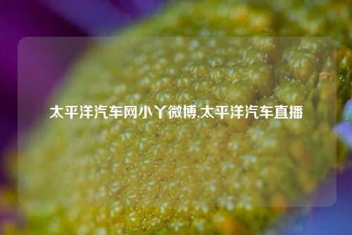 太平洋汽车网小丫微博,太平洋汽车直播-第1张图片-徐州汽车网