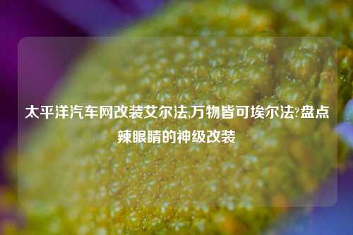 太平洋汽车网改装艾尔法,万物皆可埃尔法?盘点辣眼睛的神级改装-第1张图片-徐州汽车网