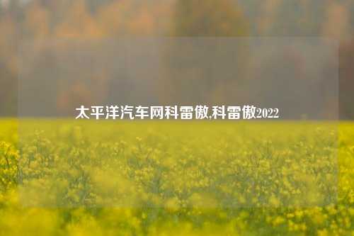 太平洋汽车网科雷傲,科雷傲2022-第1张图片-徐州汽车网