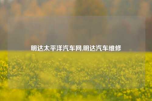 明达太平洋汽车网,明达汽车维修-第1张图片-徐州汽车网