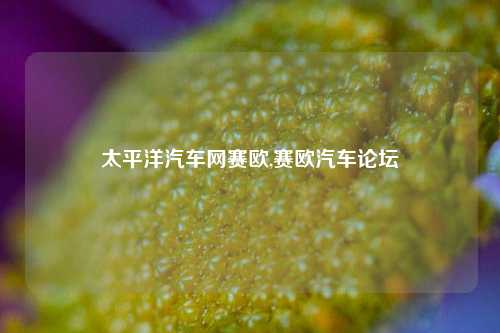 太平洋汽车网赛欧,赛欧汽车论坛-第1张图片-徐州汽车网