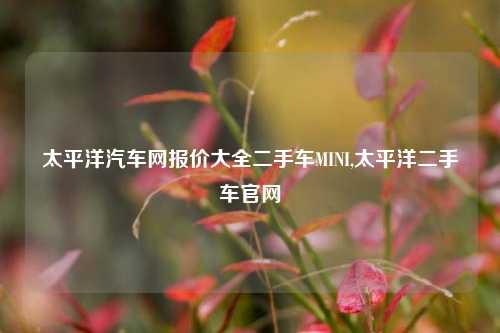 太平洋汽车网报价大全二手车MINI,太平洋二手车官网-第1张图片-徐州汽车网