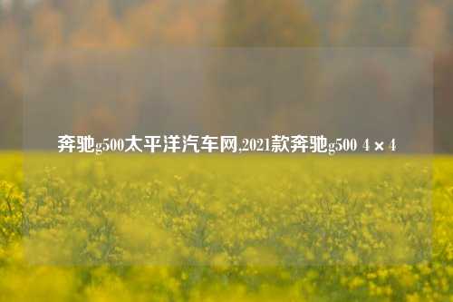 奔驰g500太平洋汽车网,2021款奔驰g500 4×4-第1张图片-徐州汽车网