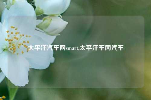 太平洋汽车网smart,太平洋车网汽车-第1张图片-徐州汽车网