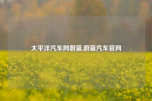 太平洋汽车网蔚蓝,蔚蓝汽车官网-第1张图片-徐州汽车网