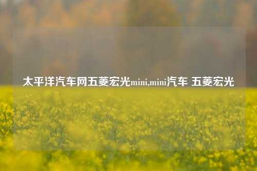 太平洋汽车网五菱宏光mini,mini汽车 五菱宏光-第1张图片-徐州汽车网