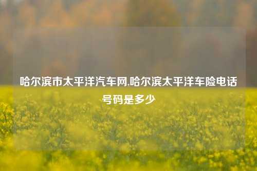 哈尔滨市太平洋汽车网,哈尔滨太平洋车险电话号码是多少-第1张图片-徐州汽车网